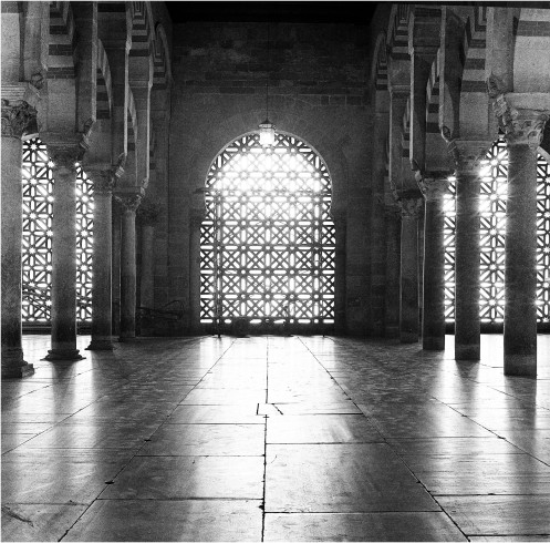 Inside the Grand Mosque #2 Cordoba Spain